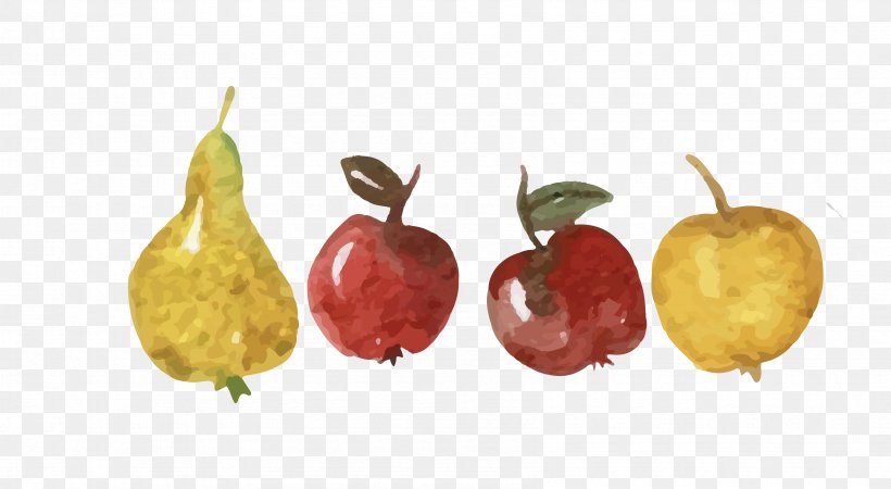 Apple Asian Pear Fruit, PNG, 3395x1864px, Apple, Accessory Fruit, Asian Pear, Auglis, Bell Peppers And Chili Peppers Download Free