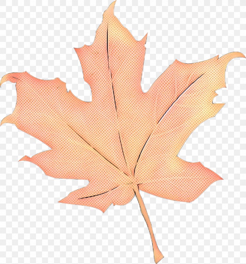 Canada Maple Leaf, PNG, 1190x1280px, Canada, Autumn, Autumn Leaf Color, Black Maple, Branch Download Free