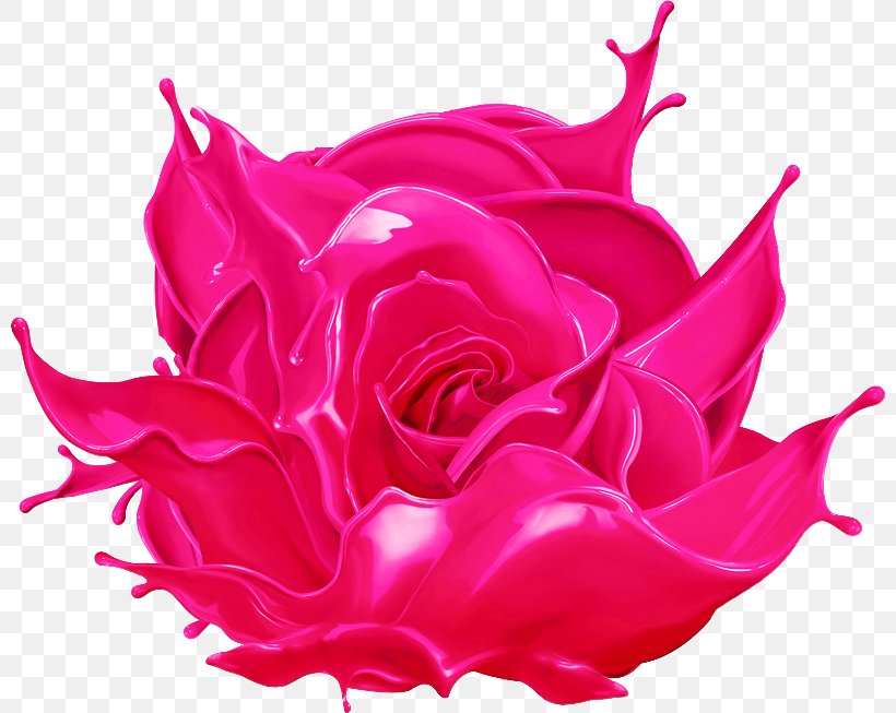 Garden Roses Paint Flower Ink Clip Art, PNG, 800x653px, Garden Roses, Close Up, Cut Flowers, Flower, Flower Garden Download Free