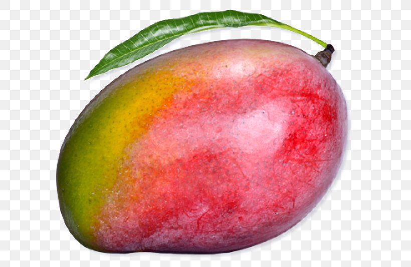 Mango Cartoon, PNG, 600x533px, Mango, Accessory Fruit, Apple, European Plum, Food Download Free