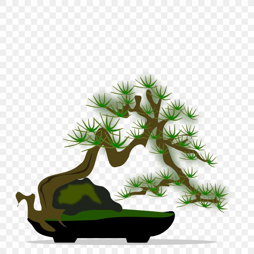 National Bonsai Foundation Tree Clip Art, PNG, 2400x2400px, National Bonsai Foundation, Bonsai, Branch, Conifer, Drawing Download Free