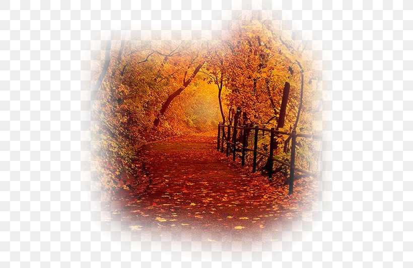 Autumn Leaf Color Tree Orange Landscape, PNG, 500x533px, Autumn, Autumn Leaf Color, Color, Landscape, Landscape Photography Download Free
