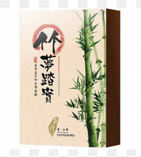 Bamboo Illustration - Facial Eye Liner Taiwan Make-up Cosmetics PNG