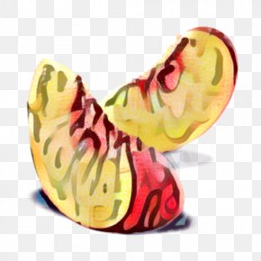 Plant Furniture - Fruit Cartoon PNG