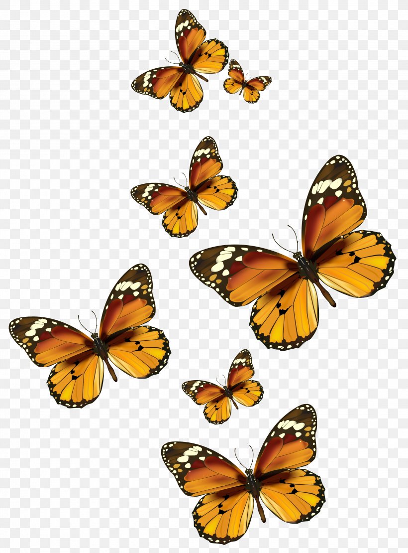 Monarch Butterfly Clip Art, PNG, 2685x3637px, Butterfly, Arthropod, Brush Footed Butterfly, Butterflies And Moths, Flower Download Free