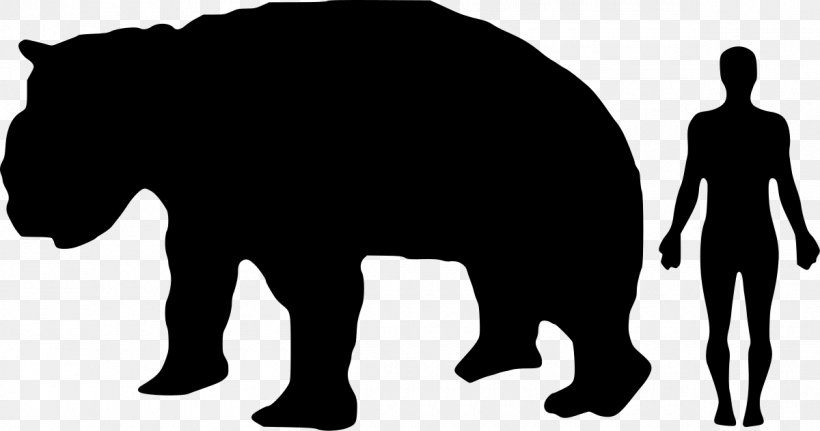 Diprotodon Wombat Human Evolution Extinction, PNG, 1200x632px, Diprotodon, Bear, Black, Black And White, Carnivoran Download Free
