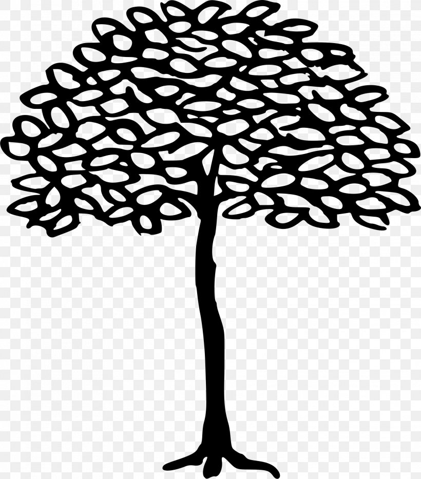Drawing Line Art Clip Art Image Tree, PNG, 2067x2354px, Drawing, Art, Blackandwhite, Botany, Coloring Book Download Free