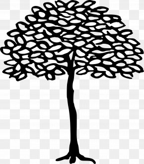 Dollar Tree Logo Transparent Stock Photos - Drawing Line Art Clip Art Image Tree PNG