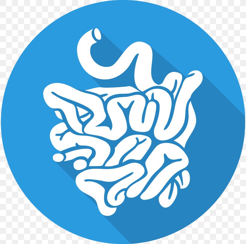 Large Intestine Small Intestine Intestinal Villus Drawing Clip Art, PNG, 814x814px, Watercolor, Cartoon, Flower, Frame, Heart Download Free