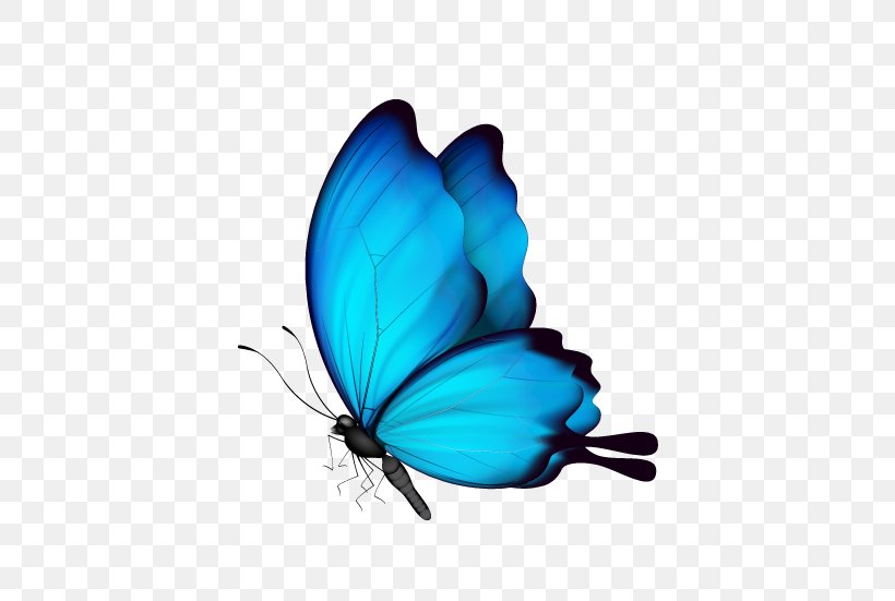 Butterfly Insect, PNG, 497x551px, Butterfly, Arthropod, Color, Idea, Information Download Free