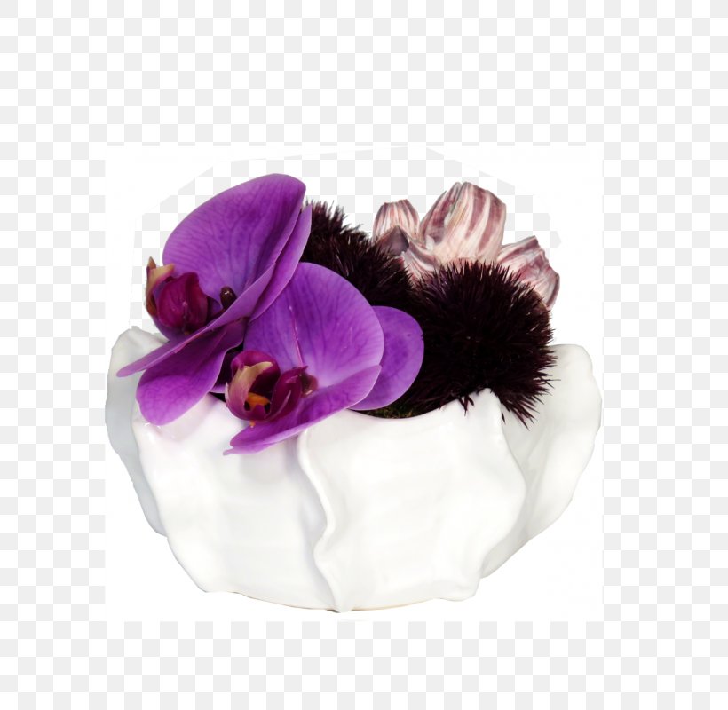 Cut Flowers Petal, PNG, 800x800px, Cut Flowers, Flower, Petal, Purple, Violet Download Free