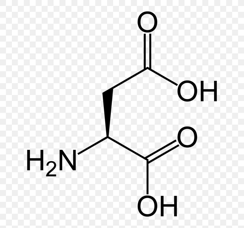 Monomer Nucleic Acid Aspartic Acid Amino Acid, PNG, 714x768px, Monomer, Acid, Amino Acid, Area, Aspartic Acid Download Free