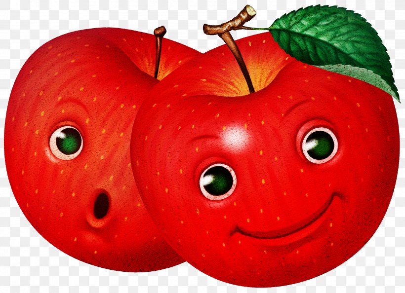 Apple Drawing Fruit Cartoon, PNG, 3423x2480px, Apple, Cartoon, Decoupage, Digital Image, Drawing Download Free