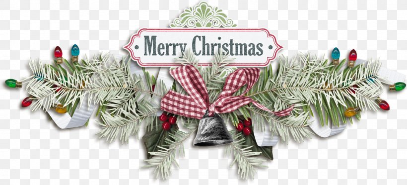 Christmas Decoration Christmas Ornament Conifers Tree, PNG, 1600x727px, Christmas Decoration, Christmas, Christmas Ornament, Conifer, Conifers Download Free