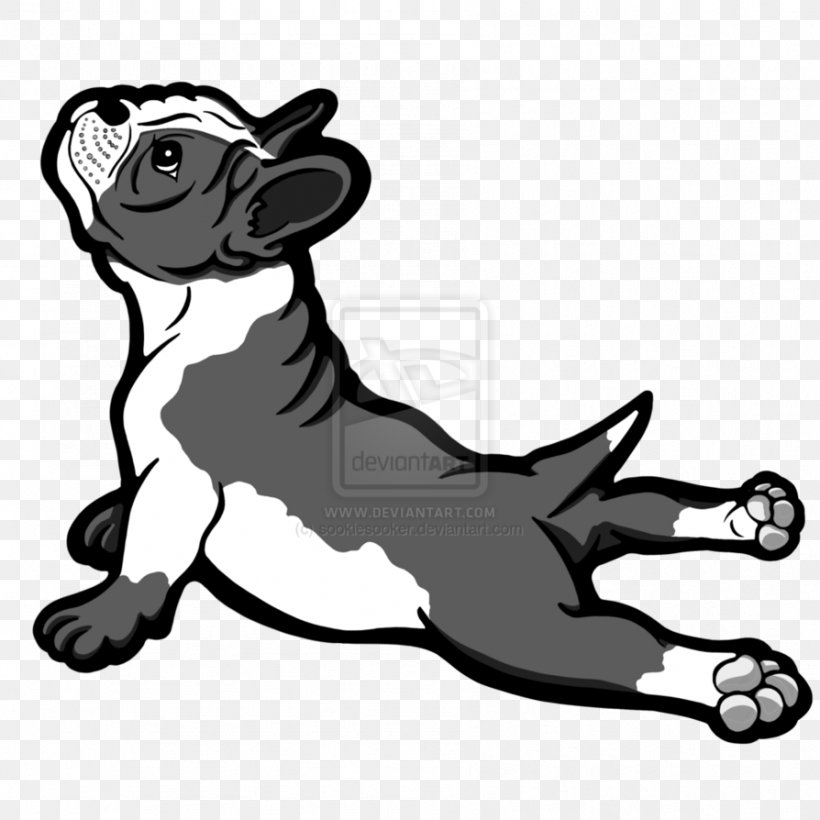 Dog Breed Puppy Boston Terrier Non-sporting Group French Bulldog, PNG, 894x894px, Dog Breed, Black, Black And White, Boston Terrier, Breed Download Free