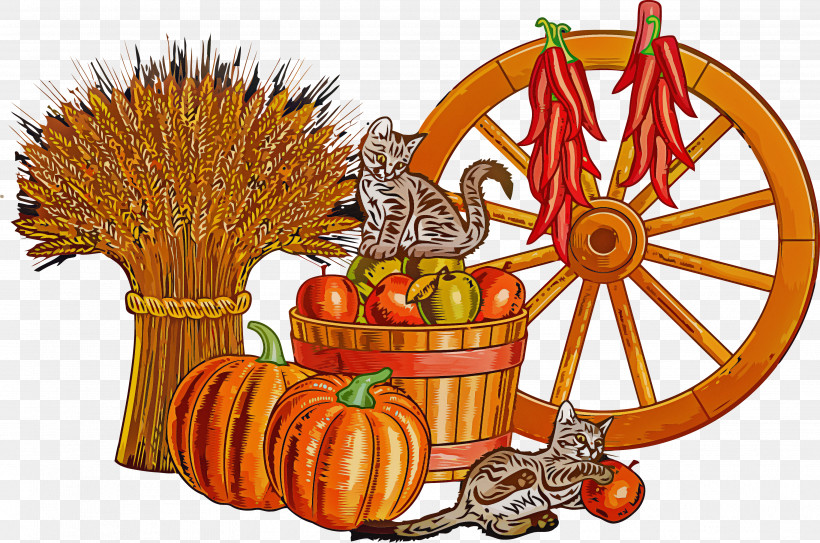 Pumpkin Thanksgiving Autumn, PNG, 3553x2354px, Pumpkin, Autumn, Food, Food Group, Fruit Download Free