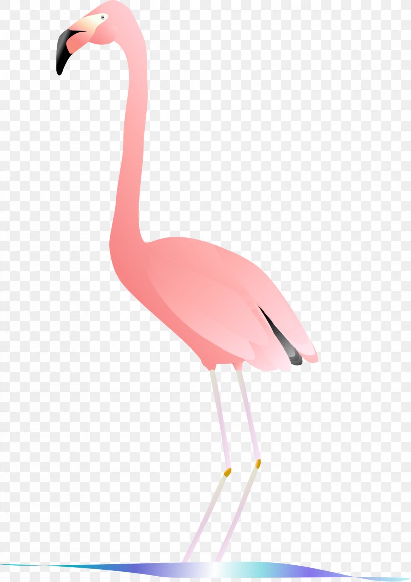 Vertebrate Water Bird Beak Flamingo, PNG, 1191x1684px, Vertebrate, Animal, Beak, Bird, Flamingo Download Free