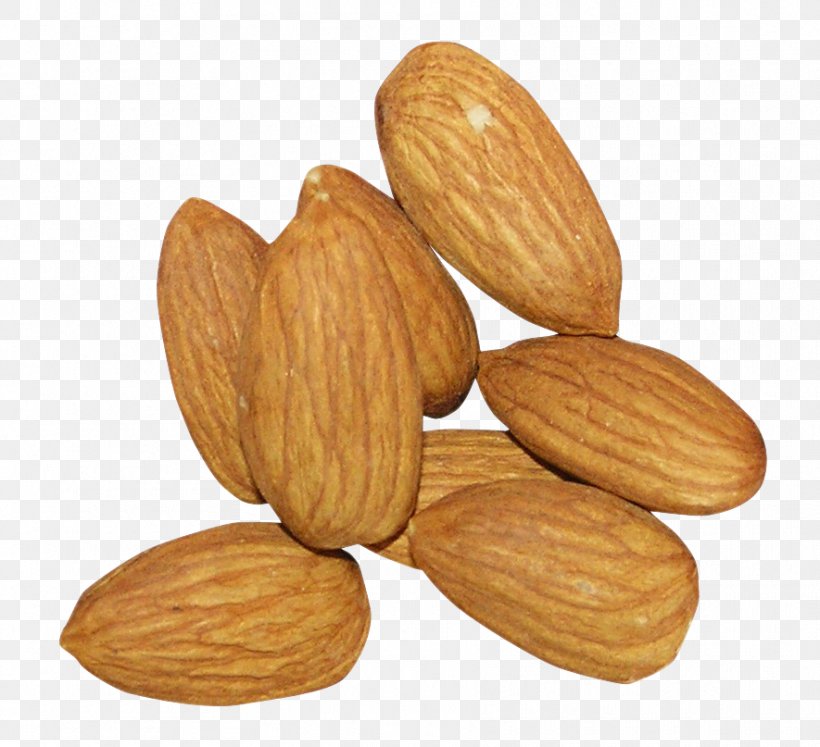 Almond Nut Food Nuts & Seeds Plant, PNG, 885x807px, Almond, Apricot Kernel, Food, Ingredient, Nut Download Free