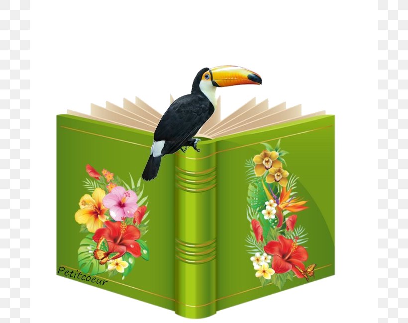 Bird Saffron Toucanet Beak Eating, PNG, 700x650px, Bird, Aracari, Beak, Eating, Fauna Download Free