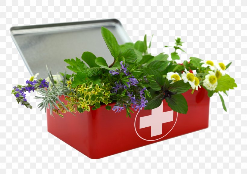 Herbal First Aid Kit Herbalism First Aid Kits First Aid Supplies, PNG, 1000x705px, Herbal First Aid Kit, Apothecary, First Aid Kits, First Aid Supplies, Flora Download Free