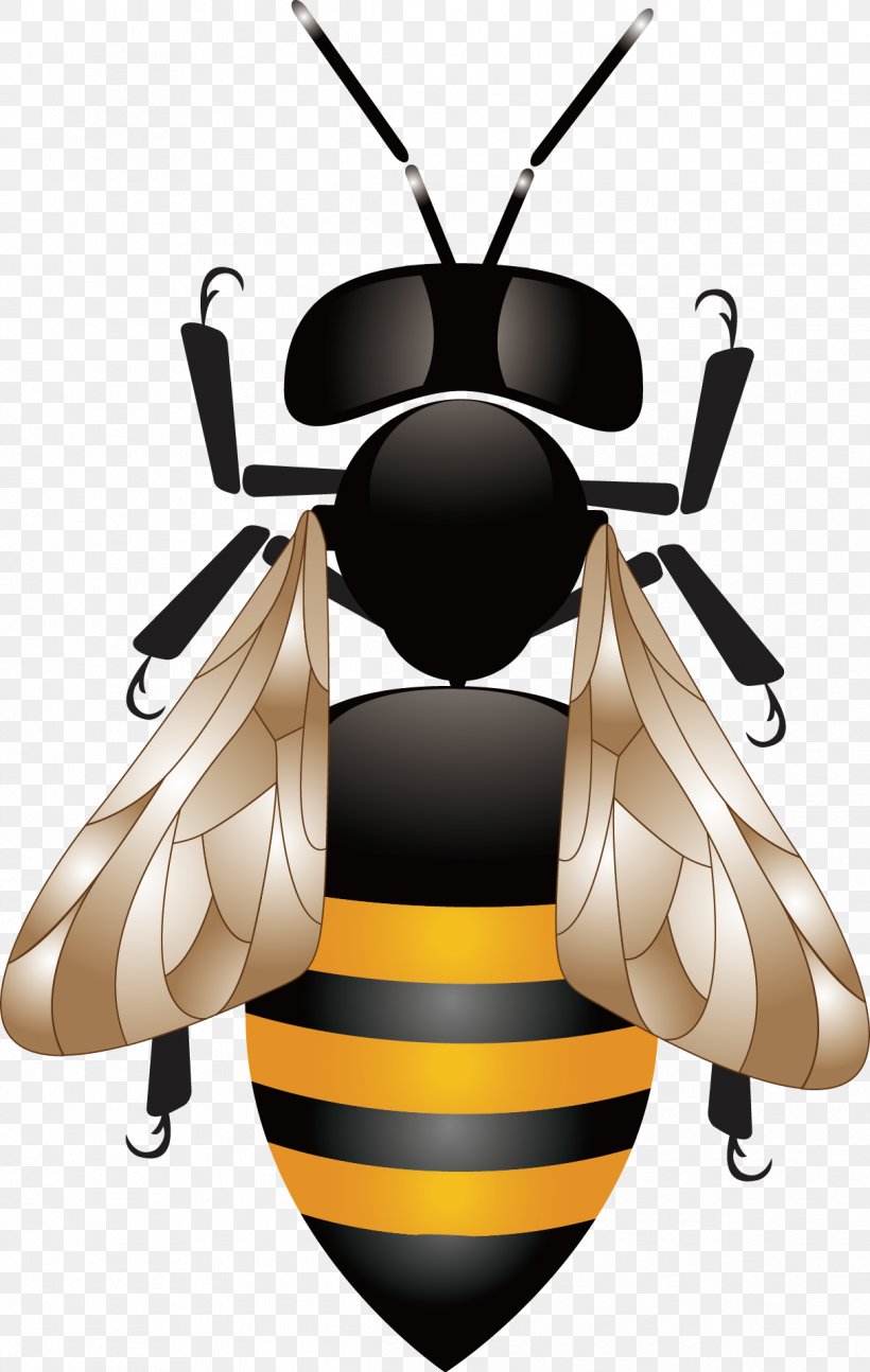 Honey Bee Honeycomb Beehive, PNG, 1215x1918px, Bee, Arthropod, Beehive, Bumblebee, Fly Download Free