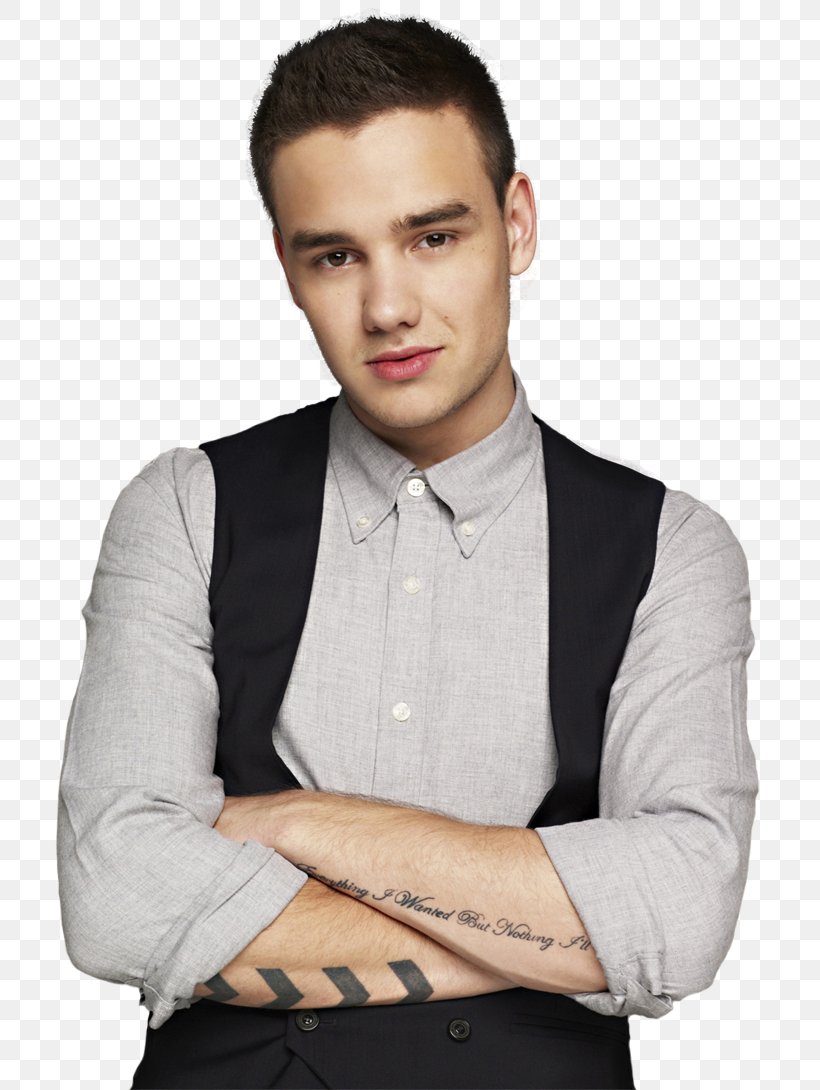 Liam Payne One Direction, PNG, 738x1090px, Watercolor, Cartoon, Flower, Frame, Heart Download Free