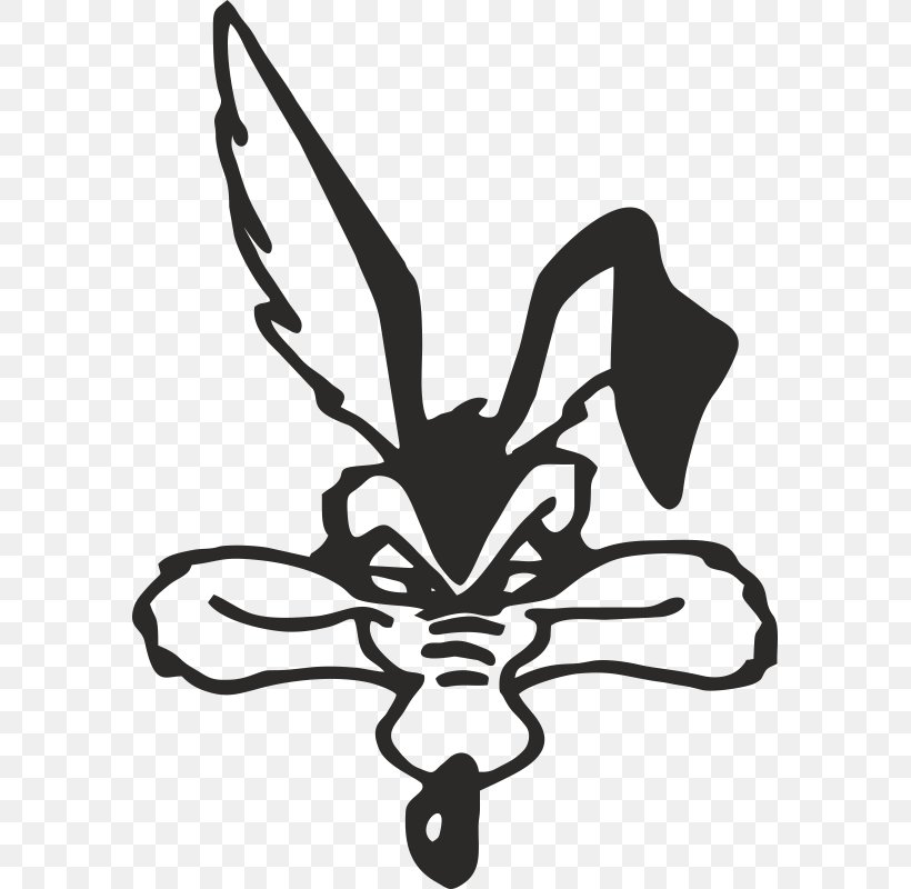 Wile E. Coyote And The Road Runner Decal Sticker Looney Tunes, PNG, 800x800px, Wile E Coyote, Adhesive, Animated Cartoon, Black, Black And White Download Free