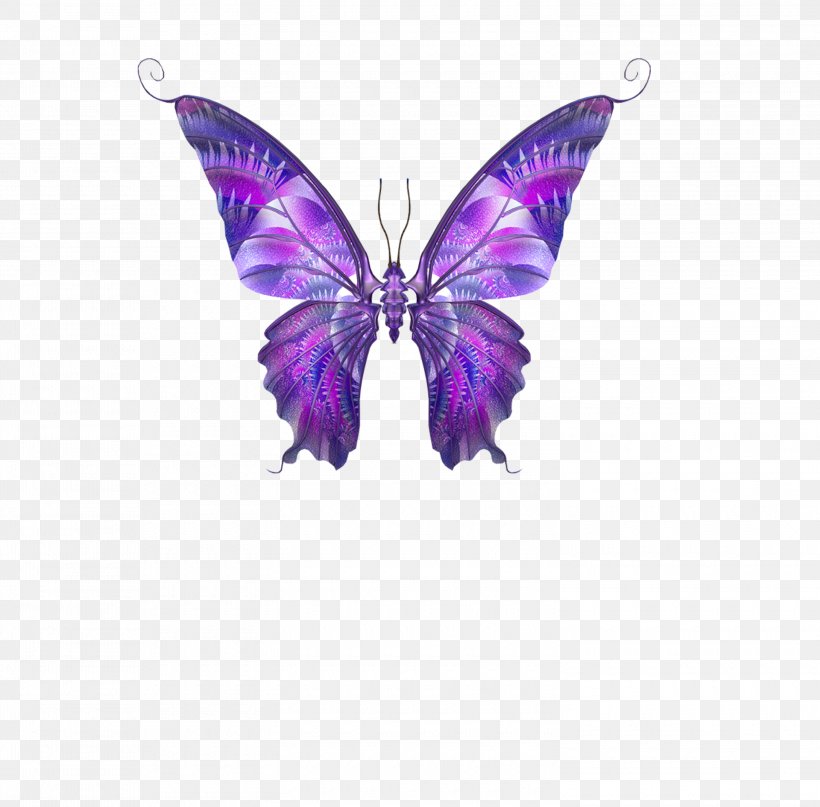 Butterfly Papillon Dog Hemiargus Ceraunus Clip Art, PNG, 3000x2953px, Butterfly, Brush Footed Butterfly, Butterflies And Moths, Drawing, Hemiargus Ceraunus Download Free