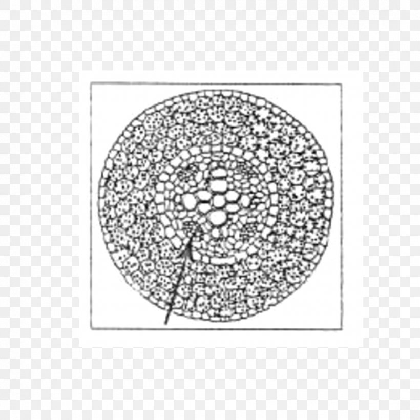 Circle Point Line Art White Font, PNG, 1080x1080px, Point, Area, Black And White, Drawing, Line Art Download Free