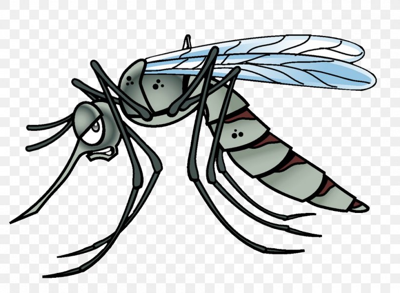 Yellow Fever Mosquito Insect Vector Cartoon, PNG, 1000x732px, Mosquito, Arthropod, Artwork, Cartoon, Dengue Fever Download Free