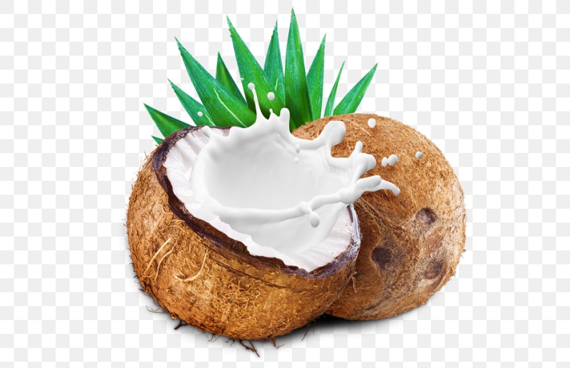 Coconut Milk Powder, PNG, 530x529px, Coconut Milk, Coco, Coconut ...