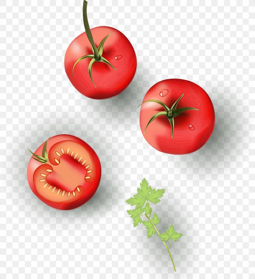 Tomato Cartoon, PNG, 2737x3000px, Tomato, Bush Tomato, Cherry Tomatoes, Diet, Diet Food Download Free