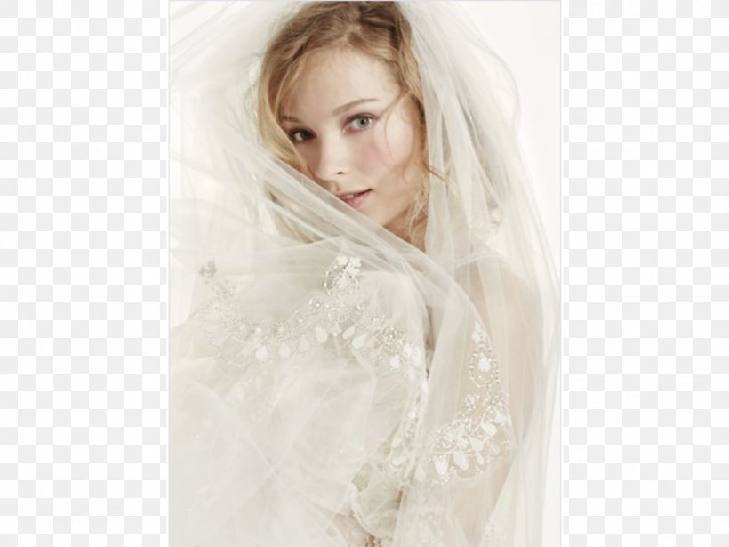 Wedding Dress Portrait Veil Photo Shoot David's Bridal, PNG, 1024x768px, Watercolor, Cartoon, Flower, Frame, Heart Download Free
