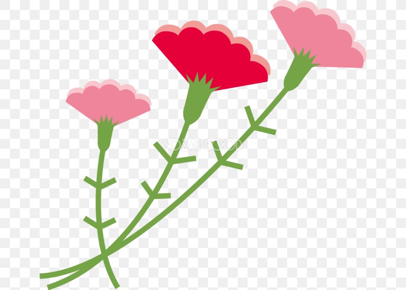 Carnation Mother's Day Clip Art, PNG, 660x585px, Carnation, Flora, Flower, Flowering Plant, Grass Download Free