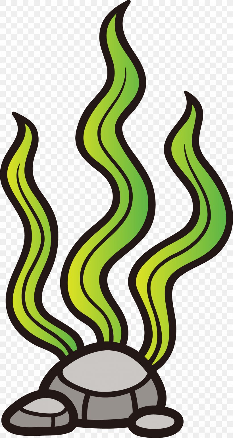 Clip Art Seaweed Seagrass Free Content, PNG, 1246x2339px, Seaweed, Algae, Artwork, Coral Reef, Giant Kelp Download Free