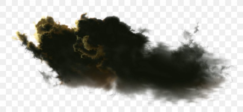 Cloud Lightning Rain Raster Graphics, PNG, 1600x741px, Cloud, Dimmy Rizou, Dog Like Mammal, Geological Phenomenon, Gimp Download Free