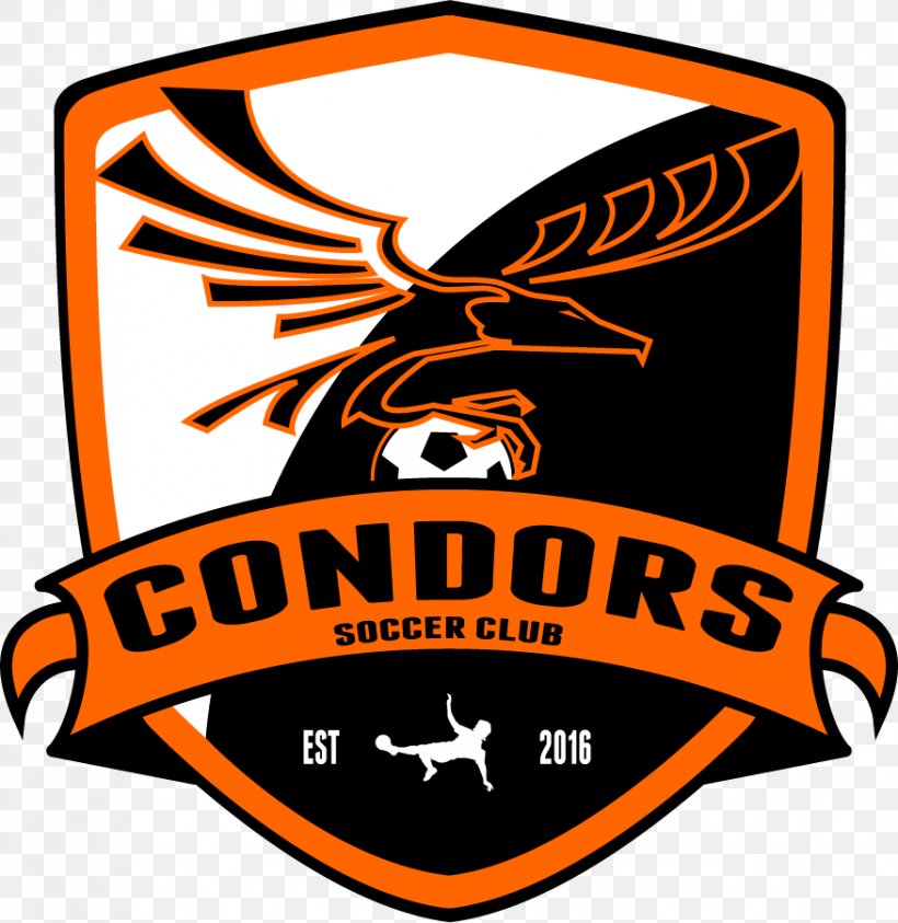 Condors Soccer Club Football Team Sport Association, PNG, 876x901px, Football Team, Area, Artwork, Association, Association Football Manager Download Free