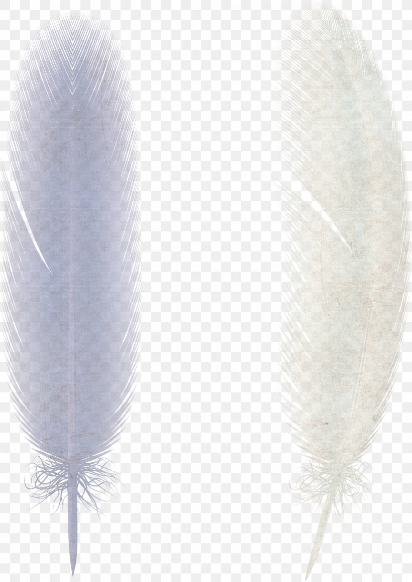 Feather Bird Illustration, PNG, 2307x3257px, Feather, Chemical Element, Gratis, Lilac, Matter Download Free