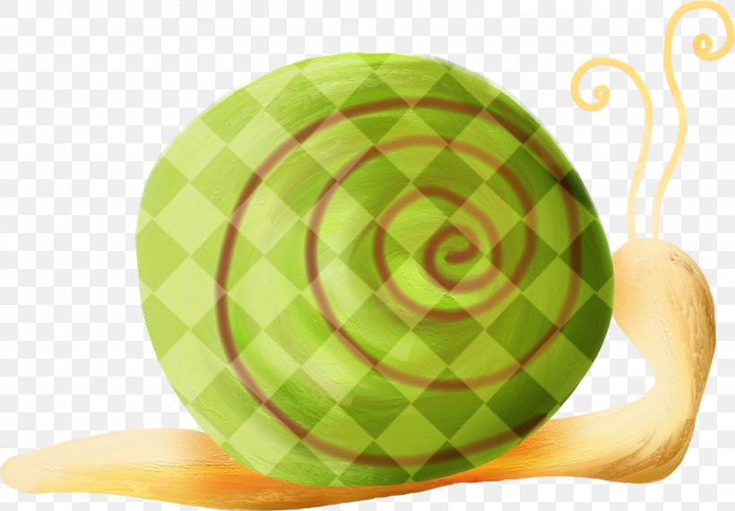 Orthogastropoda Snail Icon, PNG, 1050x731px, Orthogastropoda, Caracol, Fruit, Gratis, Green Download Free