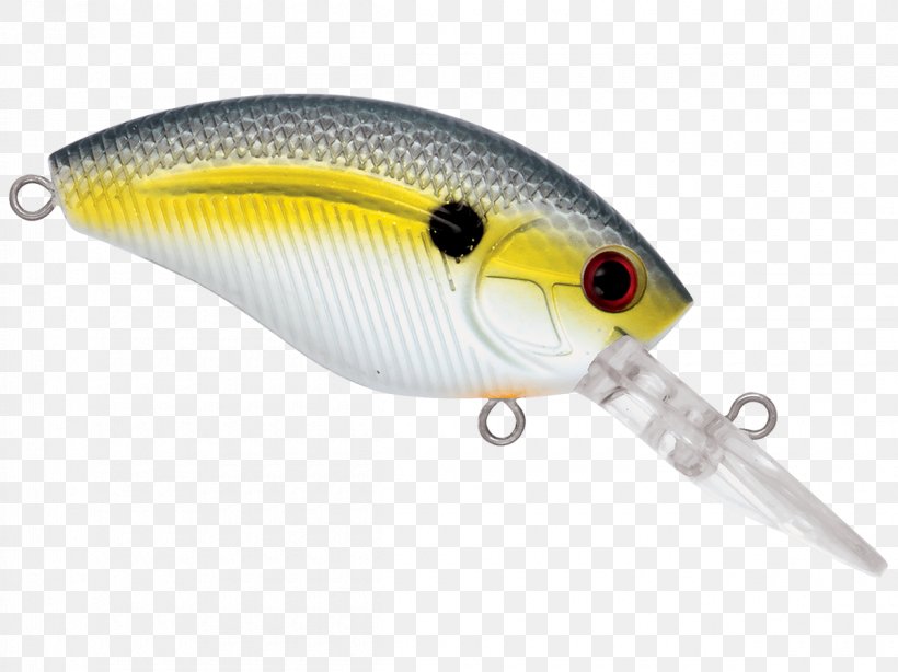 Spoon Lure Perch Fish AC Power Plugs And Sockets, PNG, 1200x899px, Spoon Lure, Ac Power Plugs And Sockets, Bait, Fish, Fishing Bait Download Free