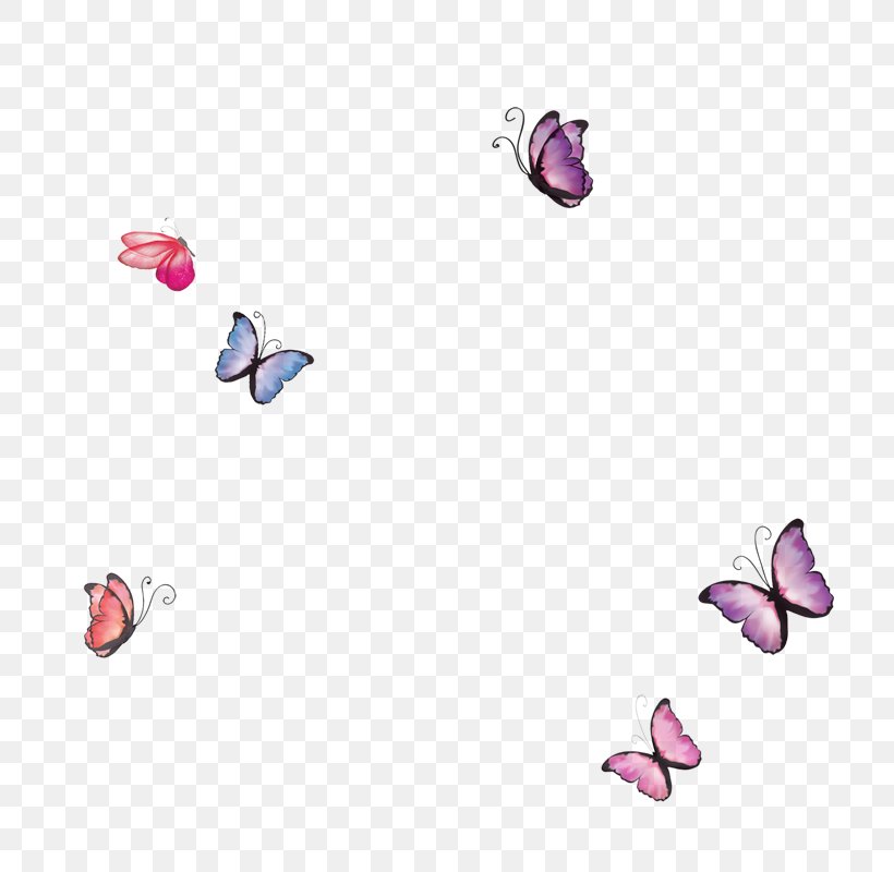 Butterfly Vase, PNG, 800x800px, Butterfly, Body Jewelry, Color, Heart, Insect Download Free