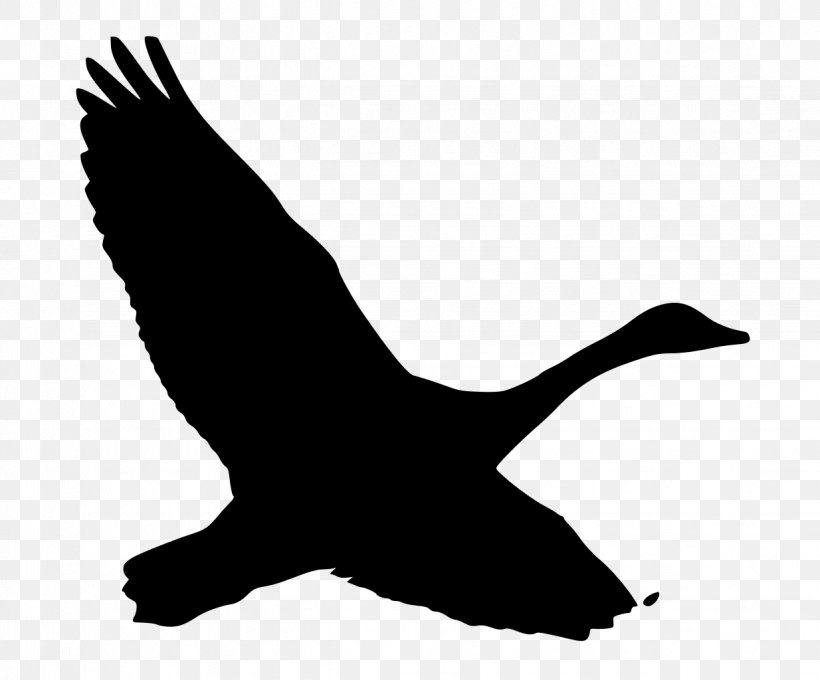 Duck Clip Art Fauna Silhouette Beak, PNG, 1234x1024px, Duck, Beak, Bird, Blackandwhite, Ducks Geese And Swans Download Free