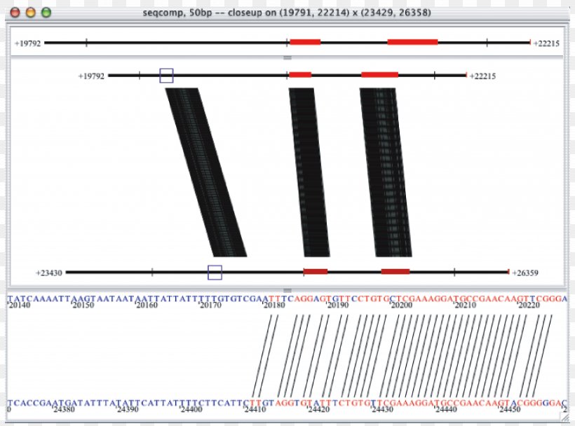 Non-coding DNA Cis-regulatory Element Promoter Conservation Gene, PNG, 4964x3684px, Noncoding Dna, Analysis, Brand, Cisregulatory Element, Conservation Download Free