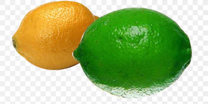 Persian Lime Lemon Key Lime Tangelo, PNG, 1000x500px, Lime, Bitter Orange, Citric Acid, Citron, Citrus Download Free