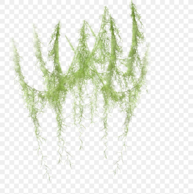 Green Image Transparency Twig, PNG, 1024x1030px, Green, Flower, Flowerpot, Garden Club, Grass Download Free