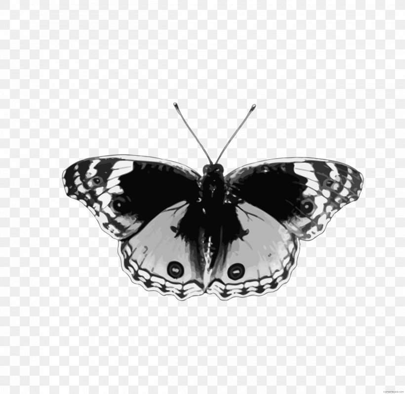 Brush-footed Butterflies Butterfly Butterflies And Bullets: Poetry, Essays And Musings Insect, PNG, 2500x2430px, Brushfooted Butterflies, Animal, Arthropod, Black And White, Brush Footed Butterfly Download Free