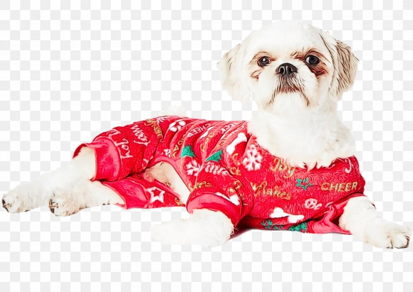 Dog Clothes Dog Shih Tzu Dog Breed Puppy, PNG, 2118x1499px, Watercolor, Companion Dog, Dog, Dog Breed, Dog Clothes Download Free
