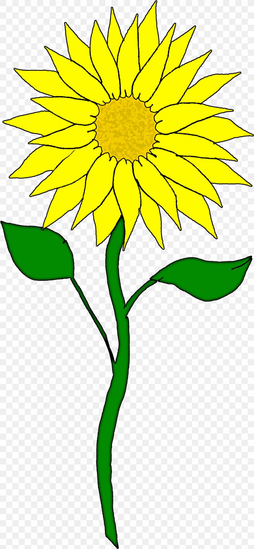 Drawing Of Family, PNG, 956x2068px, Sunflower, Cartoon, Cut Flowers, Daisy  Family, Drawing Download Free