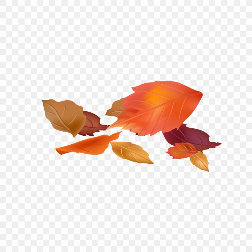 Google Images Download, PNG, 1181x1181px, Google Images, Autumn, Deciduous, Designer, Fish Download Free