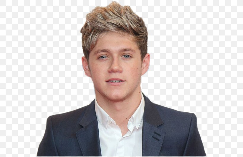 Niall Horan The Ellen DeGeneres Show Television Show One Direction Actor, PNG, 582x531px, Niall Horan, Actor, Brown Hair, Businessperson, Celebrity Download Free